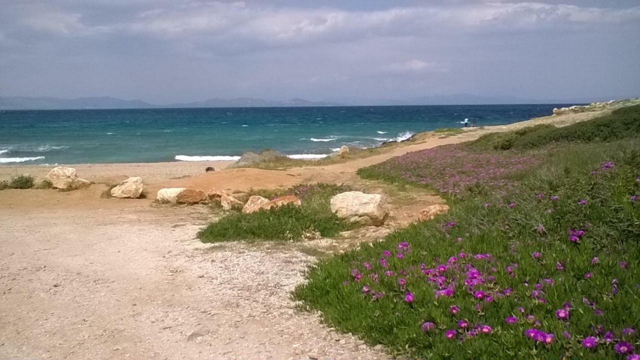 Apartmán Nireos Proteos 20 Rafína Exteriér fotografie
